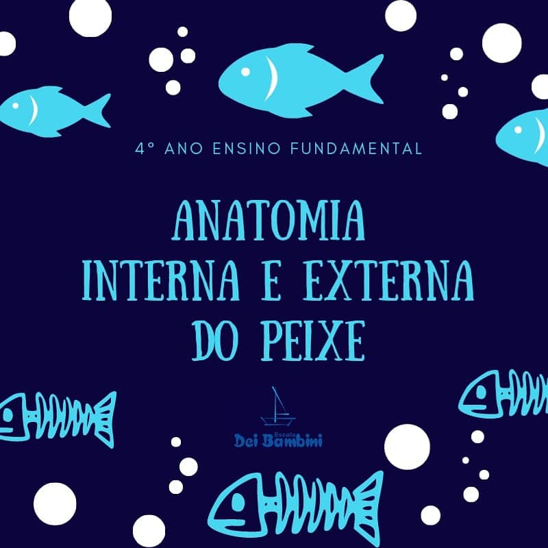 Anatomia interna e externa do peixe - 4° ano EF 